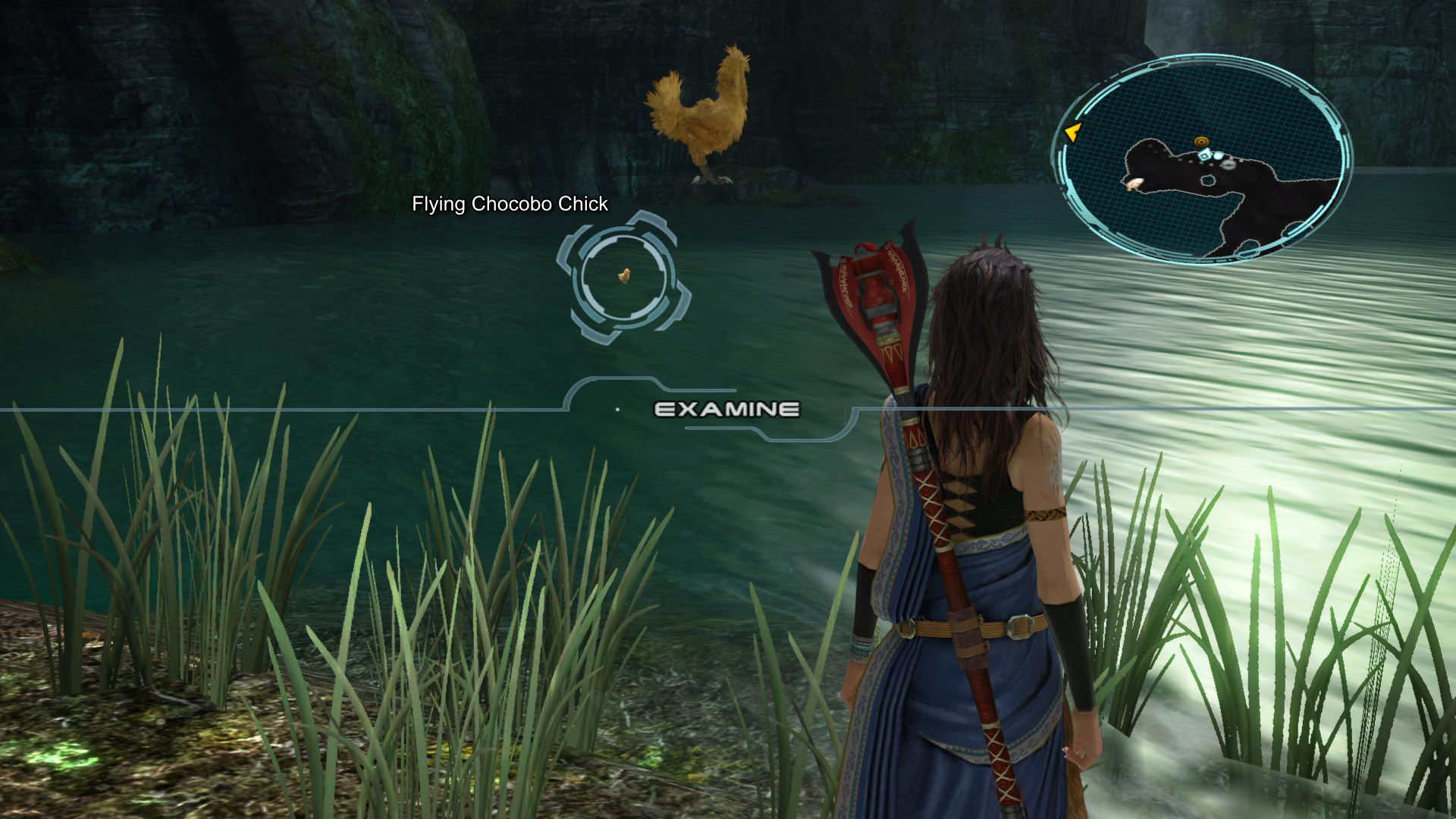 Chocobo Chick