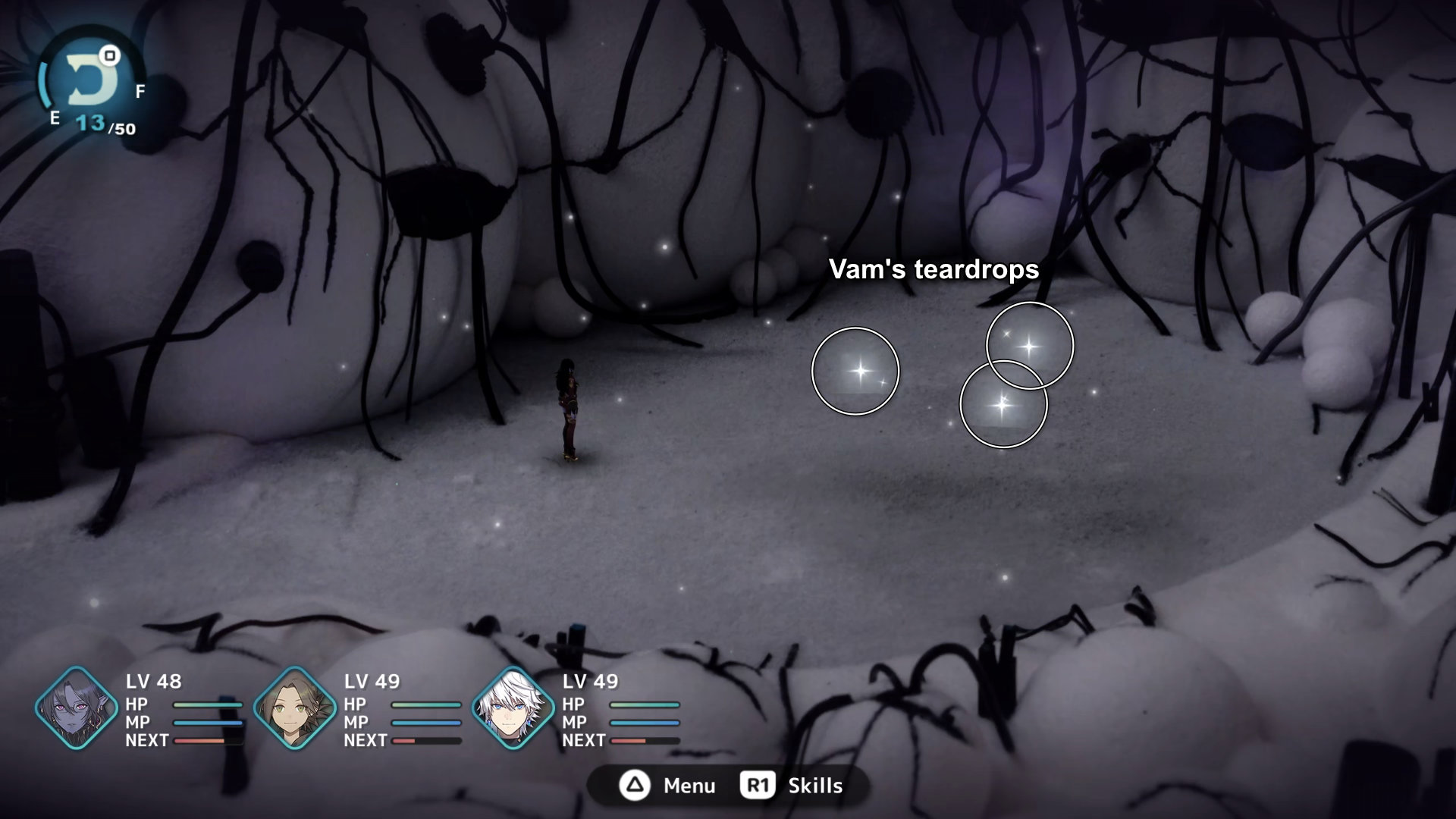 3810. Vam Teardrops