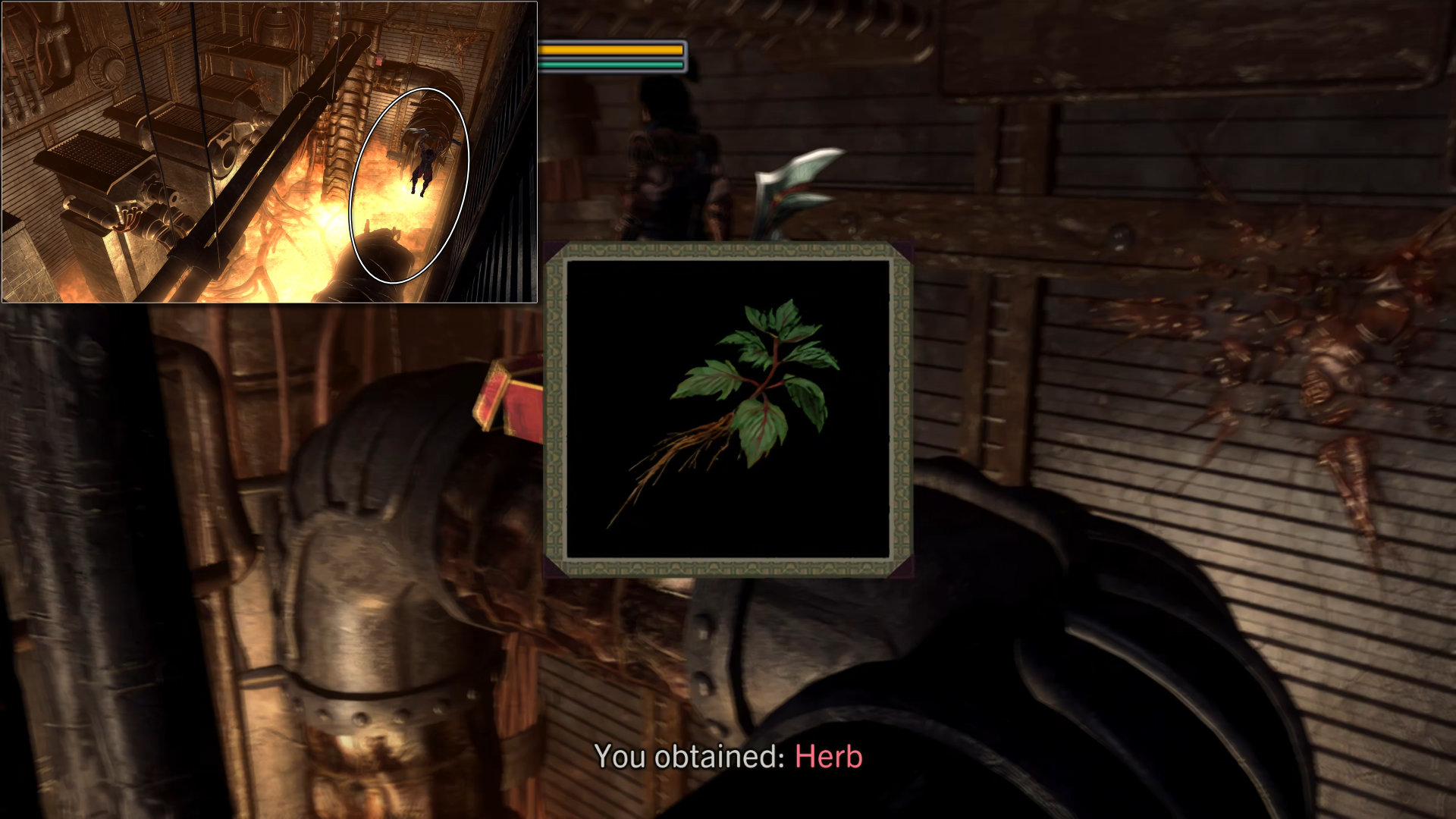 430. Herb