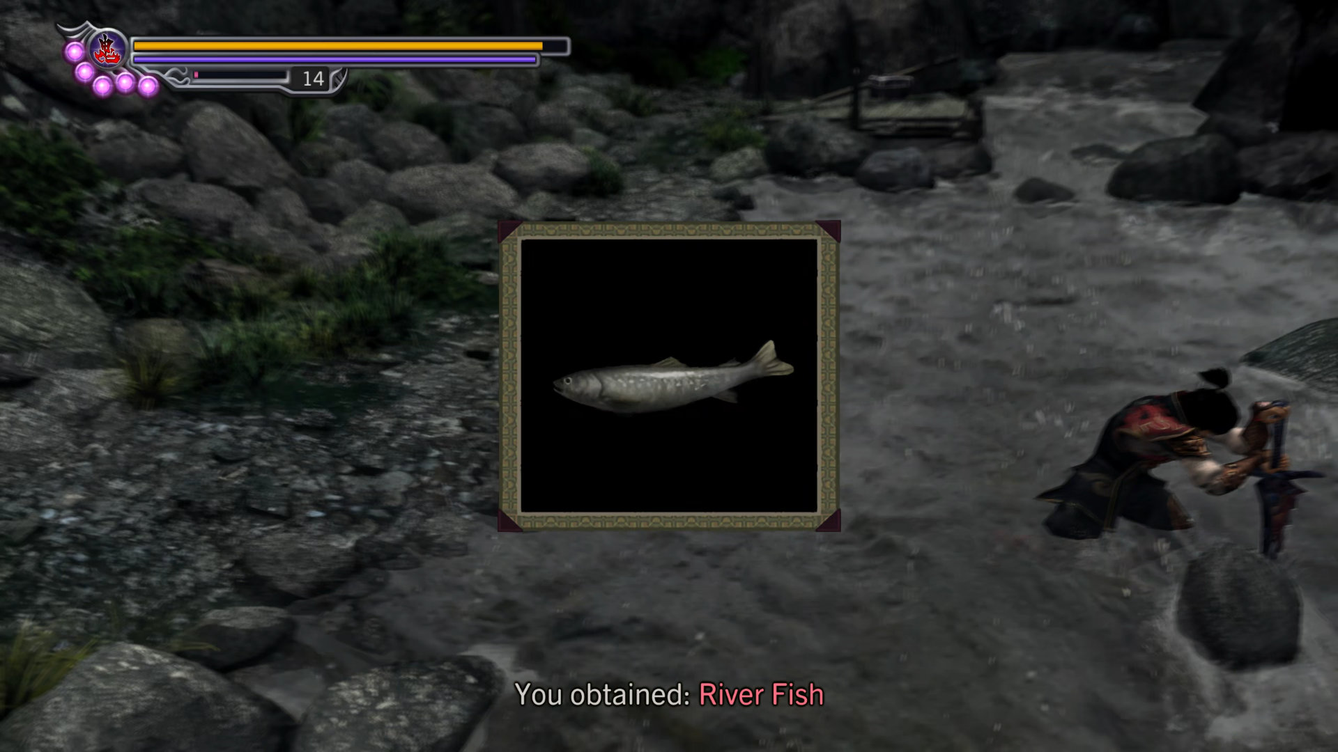 196. River Fish