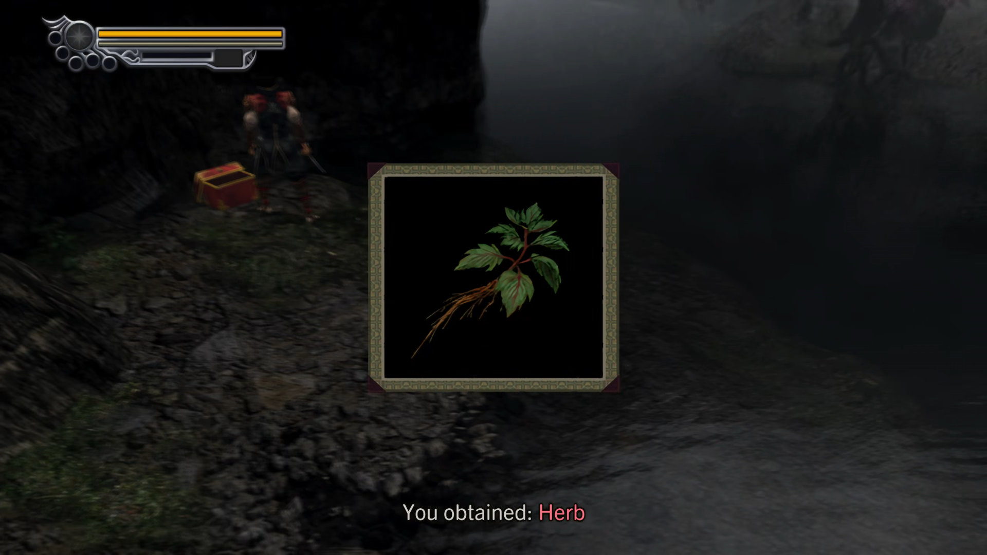 010. Herb
