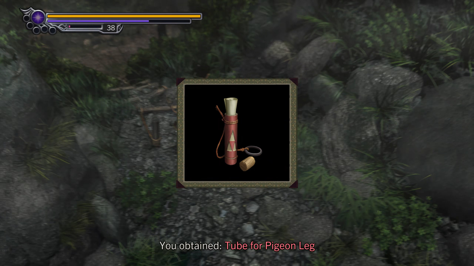 191. Tube ofr Pigeon Leg