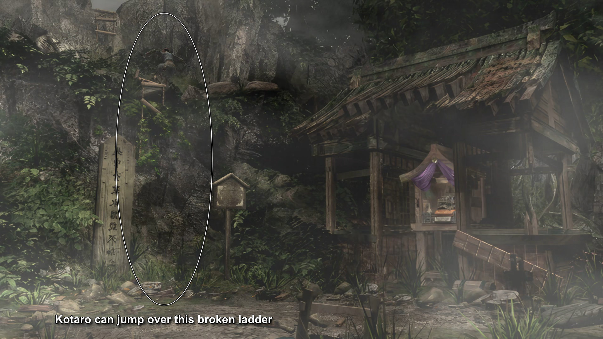 177. Kotaro jump over the broken ladder