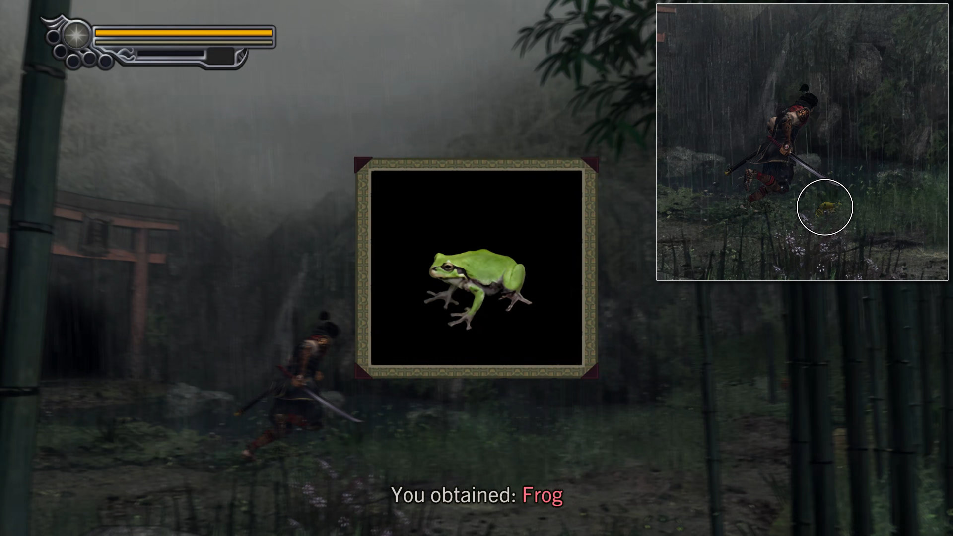 006. Frog