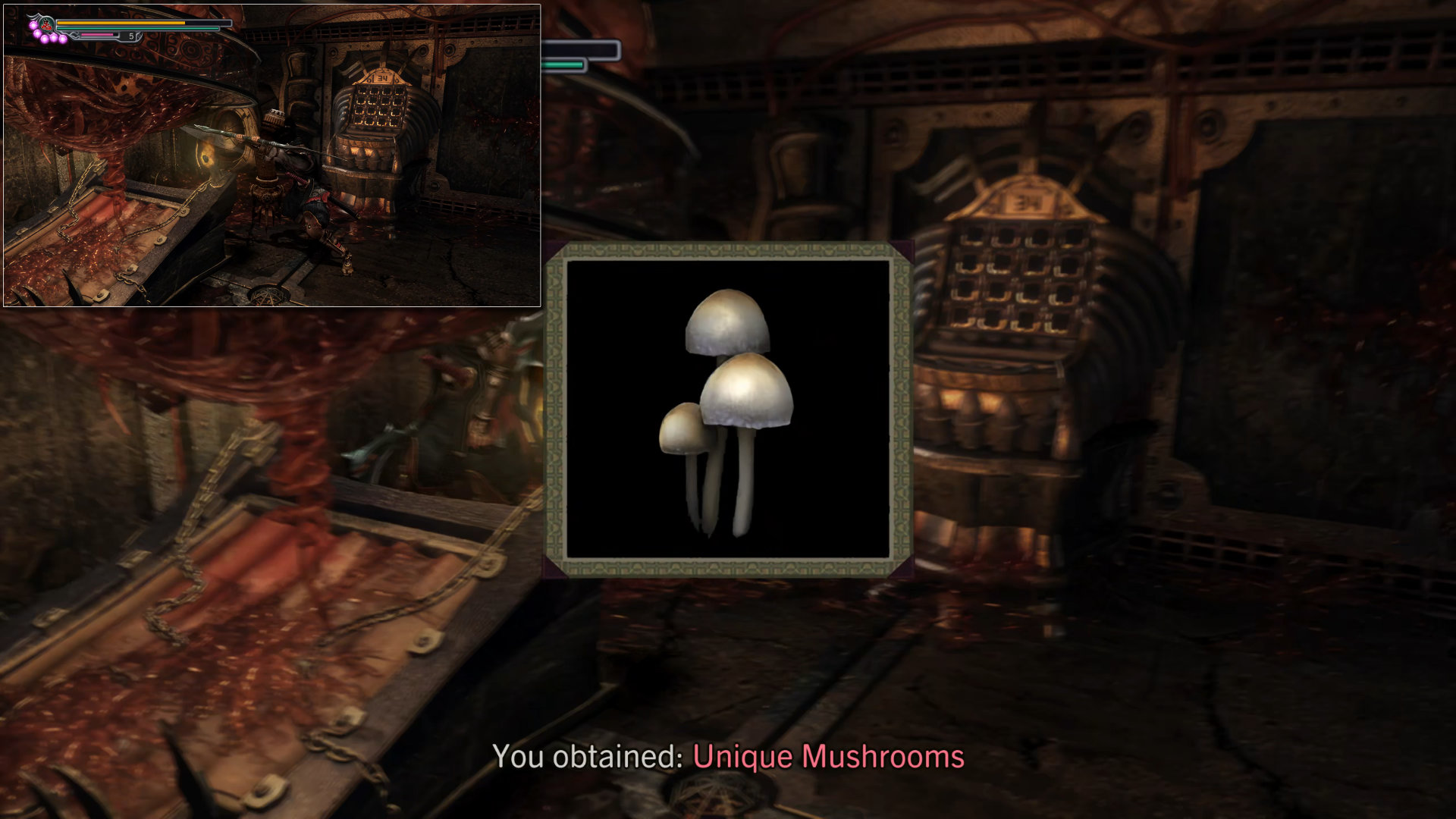 259. Unique Mushrooms