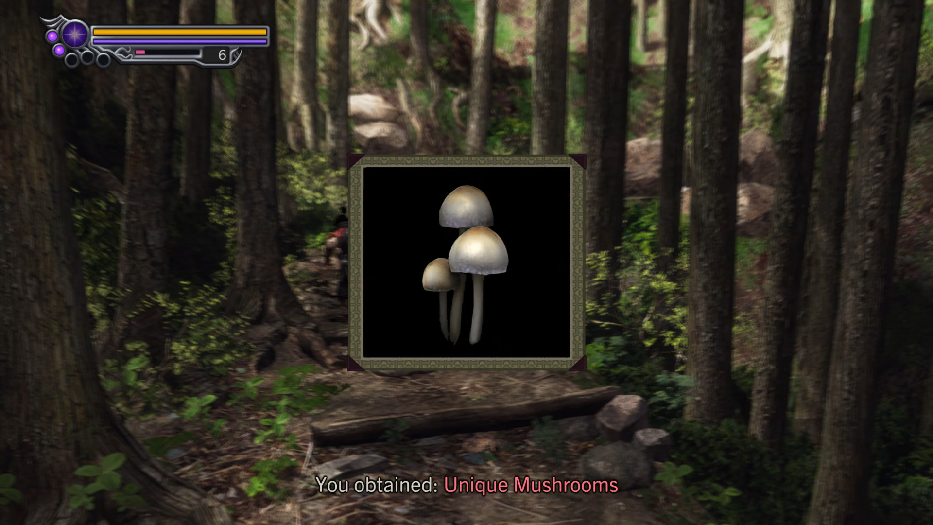 037. Unique Mushrooms