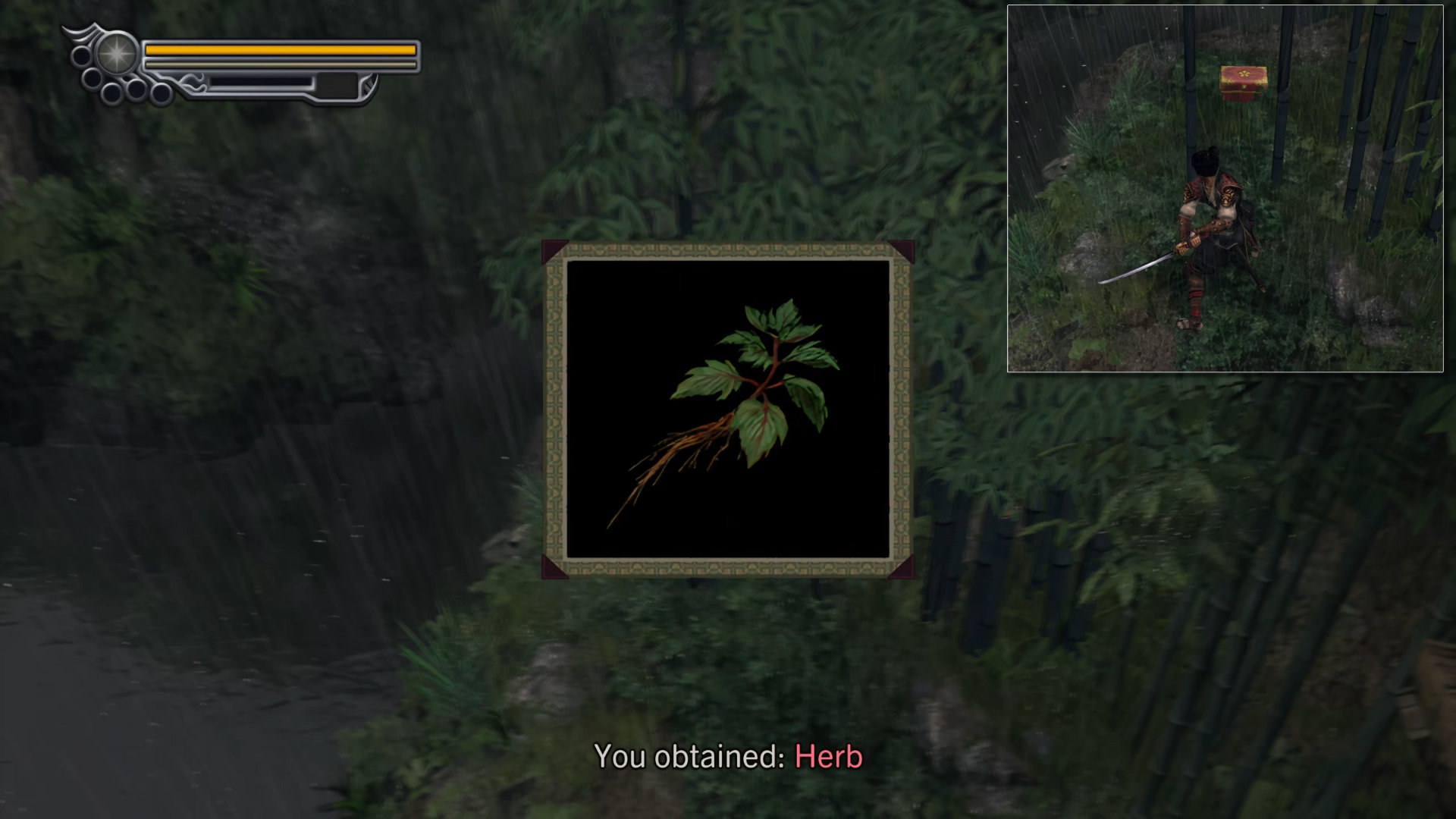 005. Herb