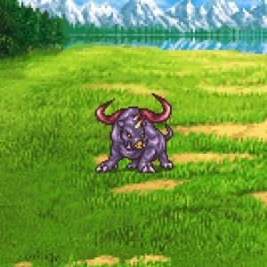 017. Big Horn