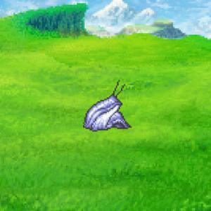 021. Rock Slug