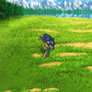 033. Wild Nakk