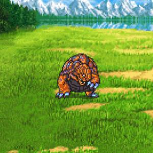 116. Land Turtle