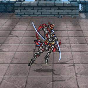 214. Ninja