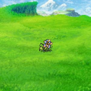261. Dragon Flower